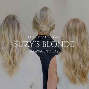 Masterclass Balayage/Foilaye by Suzy
